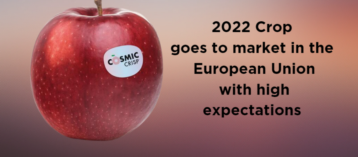2022 Crop goes to market in the European Union with high expectations