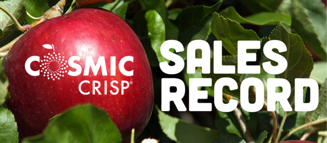 Cosmic Crisp® Sales Record